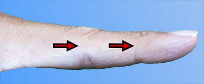 Circular folds with invisible sections
