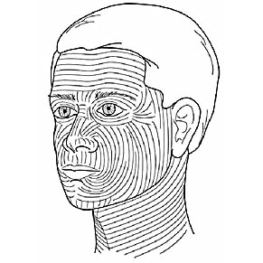 Langer lines illustration