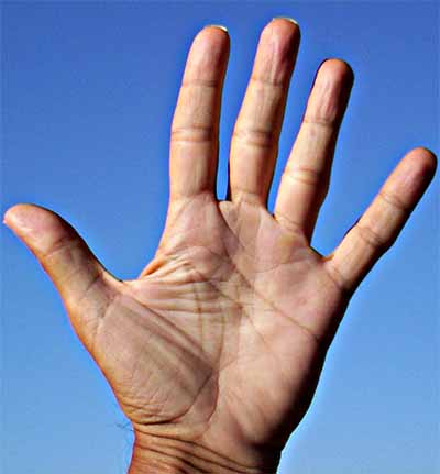 Folds in the palm of the hand