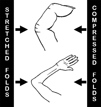 Compressed and stretched folds