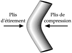Les principaux plis cutanés sur le corps humain